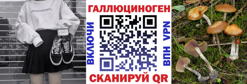 где купить наркоту  Таруса  маркетплейс состав  Псилоцибиновые грибы ЛСД 